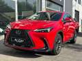 Lexus NX 350h Business City 2WD Rojo - thumbnail 14
