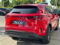 Lexus NX 350h Business City 2WD Rojo - thumbnail 18