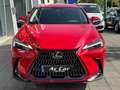 Lexus NX 350h Business City 2WD Rojo - thumbnail 15