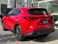 Lexus NX 350h Business City 2WD Rojo - thumbnail 17