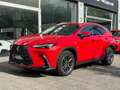 Lexus NX 350h Business City 2WD Rojo - thumbnail 2