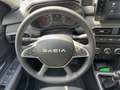 Dacia Jogger Extreme TCe110 5-Sitze CITY-PAKET Grijs - thumbnail 9