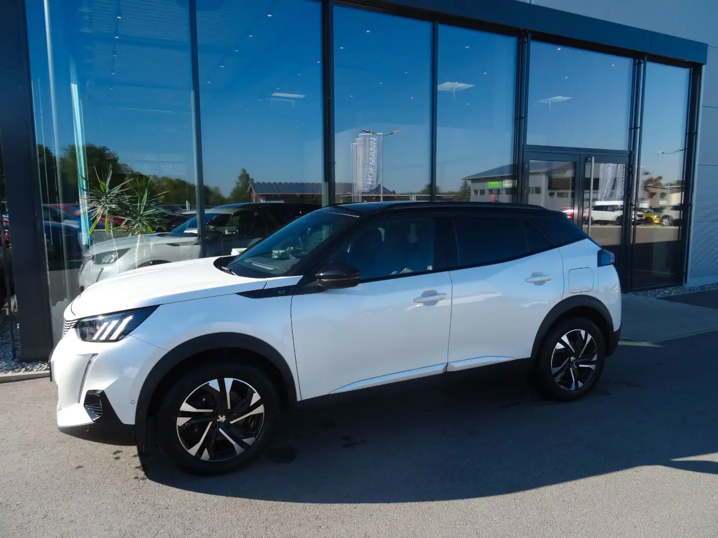 Peugeot 2008 e- GT Klima, SHZ, Kamera, Navi, S-Dach Weiß - 2