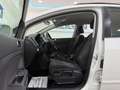 Volkswagen Golf Plus Rabbit 2012 BMT 1,6 TDI ERSTBESITZ, WENIG KM Weiß - thumbnail 23