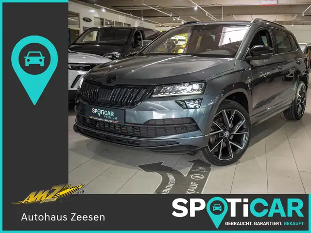 Skoda Karoq main image