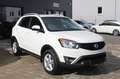 SsangYong Korando 2.0 4x4 1-Hand/Automatik/ Weiß - thumbnail 3