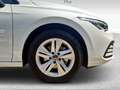 Volkswagen Golf 8ª serie 1.0 eTSI EVO DSG Life Bianco - thumbnail 15