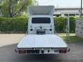 Iveco Sonstige Daily 2.3 35S14 A8/P Hi-Matic Autotransporter Weiß - thumbnail 4