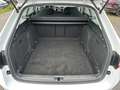 Skoda Superb Combi 1.5TSI Ambition LED+TEMPOMAT+SMARTLINK+++ Blanc - thumbnail 9