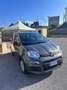 Fiat Panda 1.0 FireFly S&S Hybrid Grigio - thumbnail 3