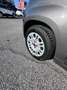 Fiat Panda 1.0 FireFly S&S Hybrid Grigio - thumbnail 12