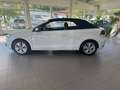 Volkswagen Golf Cabriolet Life-Scheckheftgepflegt-TÜV neu-8 fach-Garantie Weiß - thumbnail 3