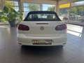 Volkswagen Golf Cabriolet Life-Scheckheftgepflegt-TÜV neu-8 fach-Garantie Weiß - thumbnail 11