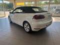 Volkswagen Golf Cabriolet Life-Scheckheftgepflegt-TÜV neu-8 fach-Garantie Weiß - thumbnail 12