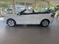 Volkswagen Golf Cabriolet Life-Scheckheftgepflegt-TÜV neu-8 fach-Garantie Weiß - thumbnail 1