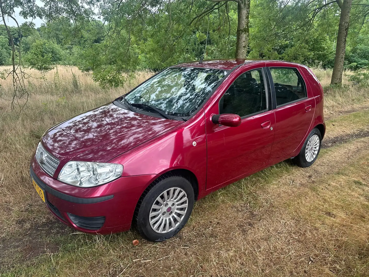Fiat Punto 1.2 Active apk t/m 10-02-2026 Rosso - 1