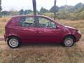 Fiat Punto 1.2 Active apk t/m 10-02-2026 Rosso - thumbnail 6