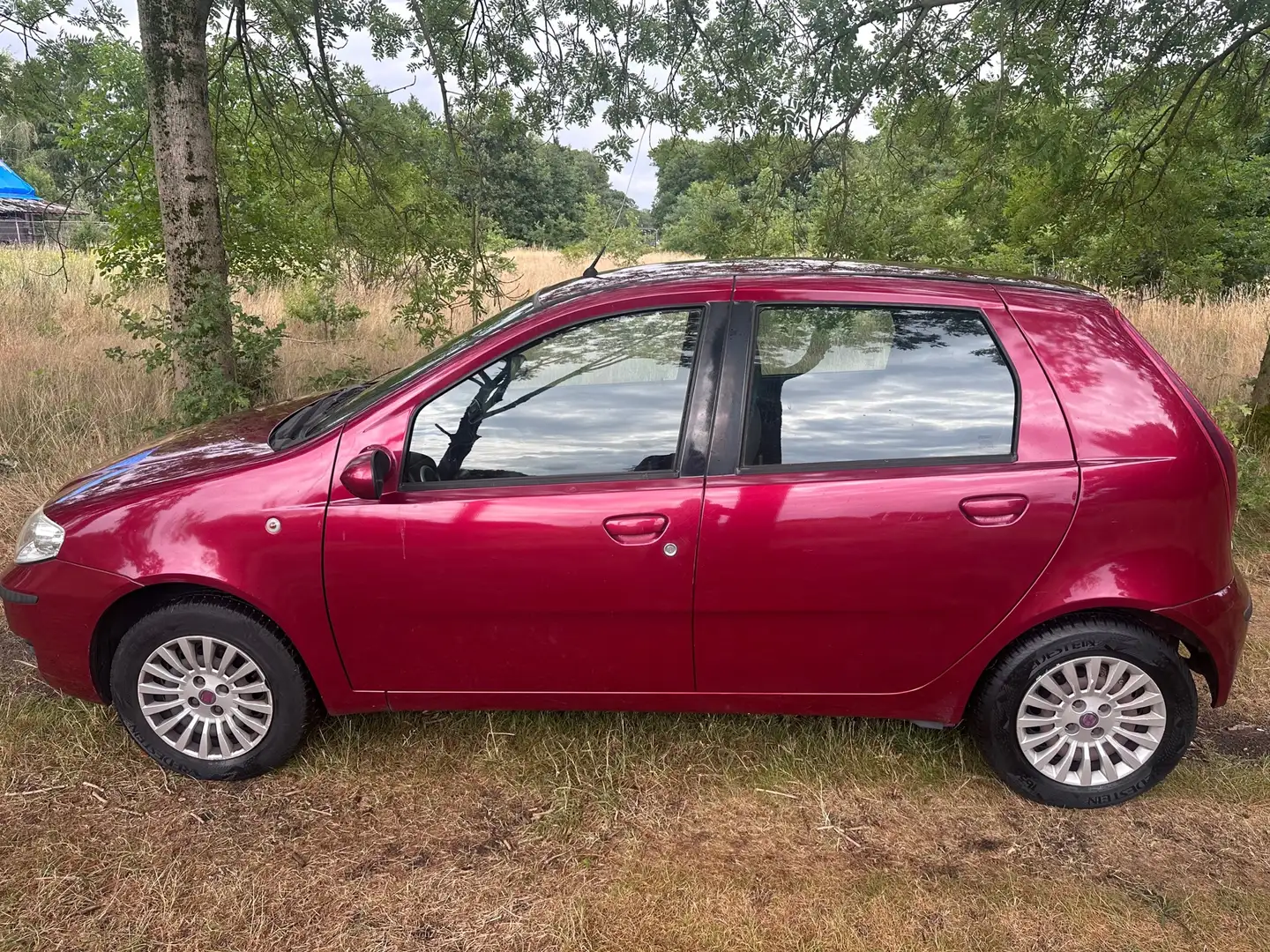 Fiat Punto 1.2 Active apk t/m 10-02-2026 Rosso - 2