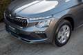Skoda Kamiq Selection AHK, RFK, 5 Jahre Garantie Grau - thumbnail 13