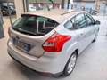 Ford Focus 1.6 TDCi 115 CV Business Grigio - thumbnail 4