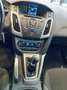 Ford Focus 1.6 TDCi 115 CV Business Grigio - thumbnail 13