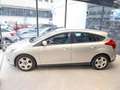 Ford Focus 1.6 TDCi 115 CV Business Grigio - thumbnail 8
