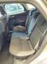 Ford Focus 1.6 TDCi 115 CV Business Grigio - thumbnail 10