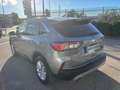 Ford Kuga 1.5 EcoBlue 120 CV 2WD Titanium Business Grigio - thumbnail 8