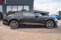 Ford Mustang GT 5,0 GT/CS PREMIUM VOLL Schwarz - thumbnail 12