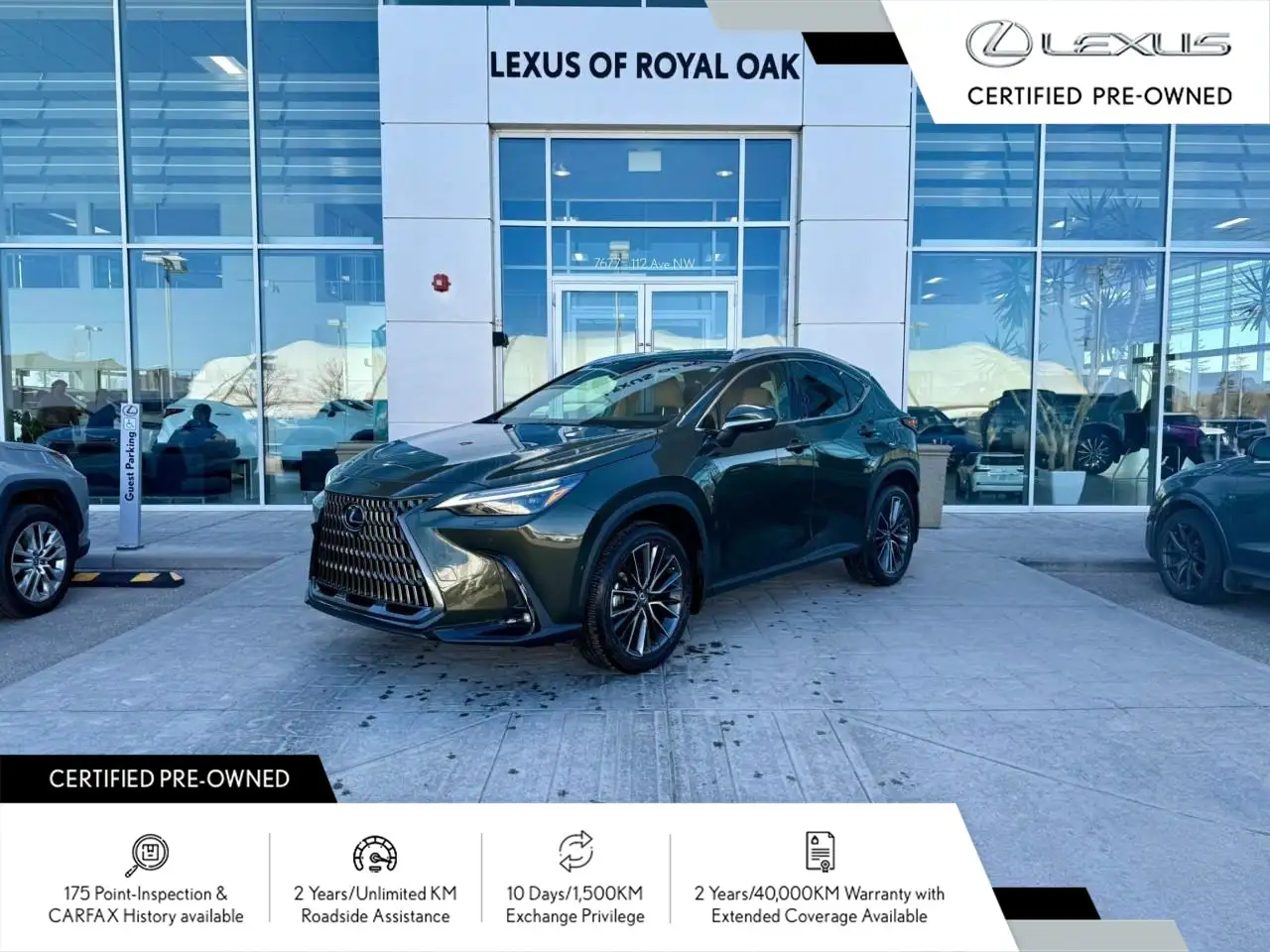 2025 Lexus NX