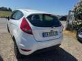Ford Fiesta Fiesta VI 2008 3p 1.4 16v Titanium Gpl Wit - thumbnail 6