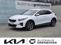 Kia XCeed Xceed 1.5 T-GDI Gold Weiß - thumbnail 1