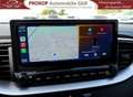 Kia ProCeed / pro_cee'd GT-Line ACC Kam Bi-LED el.Sitze Techno-Leder-Paket Grau - thumbnail 22