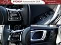 Kia ProCeed / pro_cee'd GT-Line ACC Kam Bi-LED el.Sitze Techno-Leder-Paket Grau - thumbnail 24