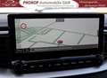 Kia ProCeed / pro_cee'd GT-Line ACC Kam Bi-LED el.Sitze Techno-Leder-Paket Grau - thumbnail 21