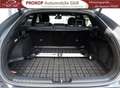 Kia ProCeed / pro_cee'd GT-Line ACC Kam Bi-LED el.Sitze Techno-Leder-Paket Grau - thumbnail 12