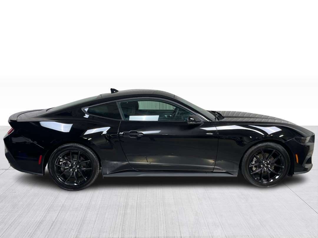2026 Ford Mustang EcoBoost A/C Mags Caméra de recul — photo 1