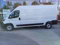 Fiat Ducato Ducato 35+ L3H2 BlueHDi 140 S&S Weiß - thumbnail 3