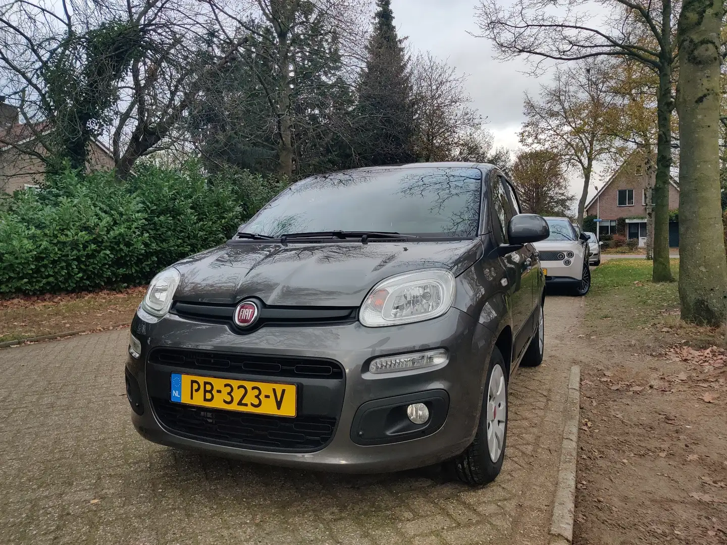 Fiat Panda 0.9 TwinAir Lounge Gris - 1