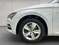 Skoda Superb Combi 1.5 TSI DSG Ambition 110 kW, 5-türig Weiß - thumbnail 13