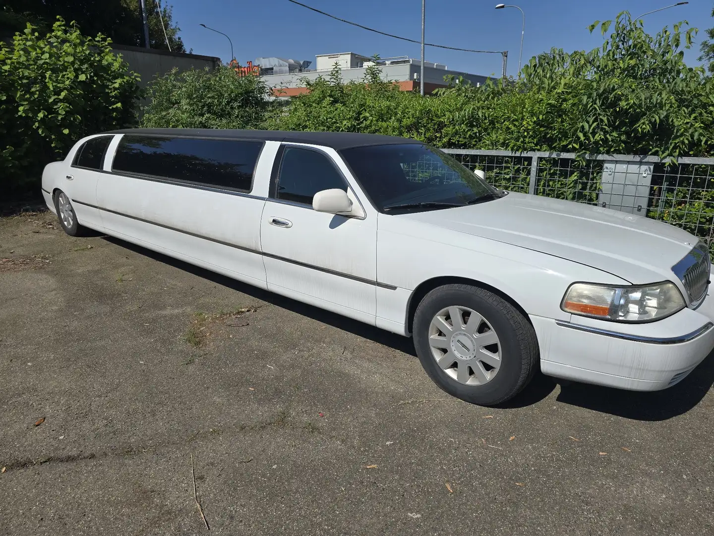 Lincoln Town Car Lincoln Town Car 9 Posti - 1