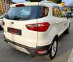 Ford EcoSport EcoSport 1.5 Titanium 110cv powershift Bianco - thumbnail 9