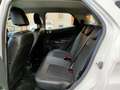 Ford EcoSport EcoSport 1.5 Titanium 110cv powershift Bianco - thumbnail 13