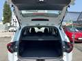 Dacia Bigster TCe130 mHev 4x4 LED PDC Kamera AppleCarPlay / A... Weiß - thumbnail 33