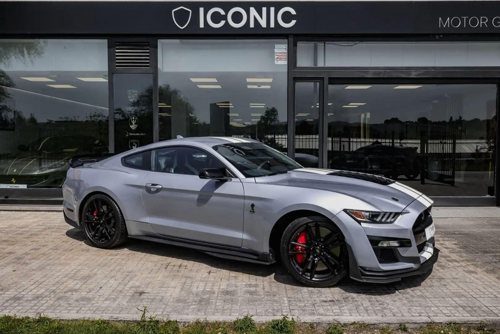 Ford Mustang Shelby GT 500 Gris - 1