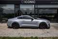 Ford Mustang Shelby GT 500 Gris - thumbnail 7