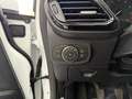 Ford Fiesta Fiesta VII 2022 5p 1.0 ecoboost h Titanium 125cv Blanc - thumbnail 14