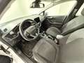 Ford Fiesta Fiesta VII 2022 5p 1.0 ecoboost h Titanium 125cv Blanc - thumbnail 10