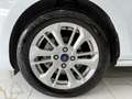 Ford Fiesta Fiesta VII 2022 5p 1.0 ecoboost h Titanium 125cv Blanc - thumbnail 9