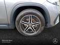 Mercedes-Benz EQA 250 AMG+PLUS-PAKET+AHK+PANO+360+MEMORY+HUD Grau - thumbnail 6